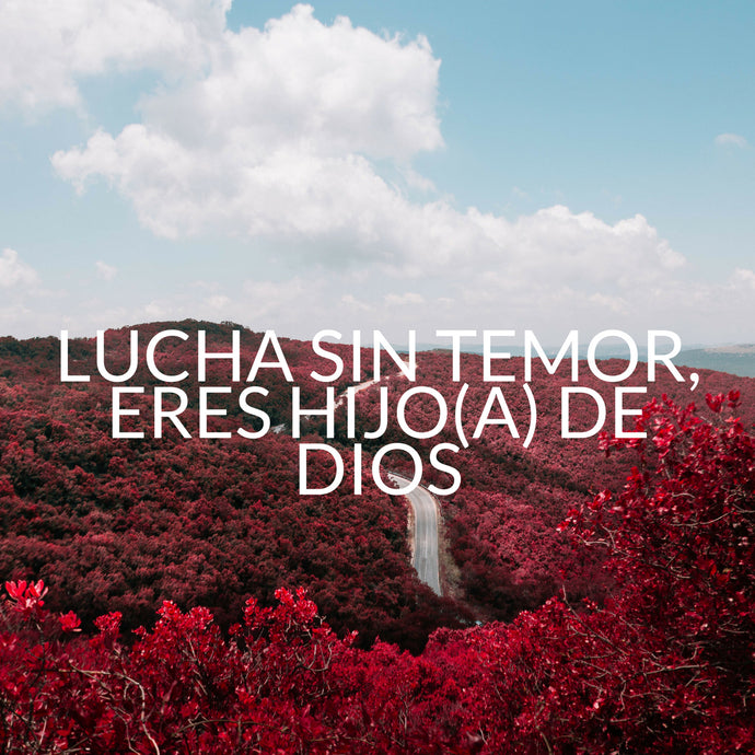 Lucha sin temor, eres hijo(a) de Dios