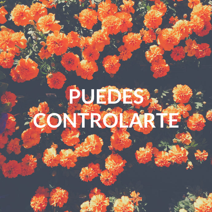 Puedes controlarte