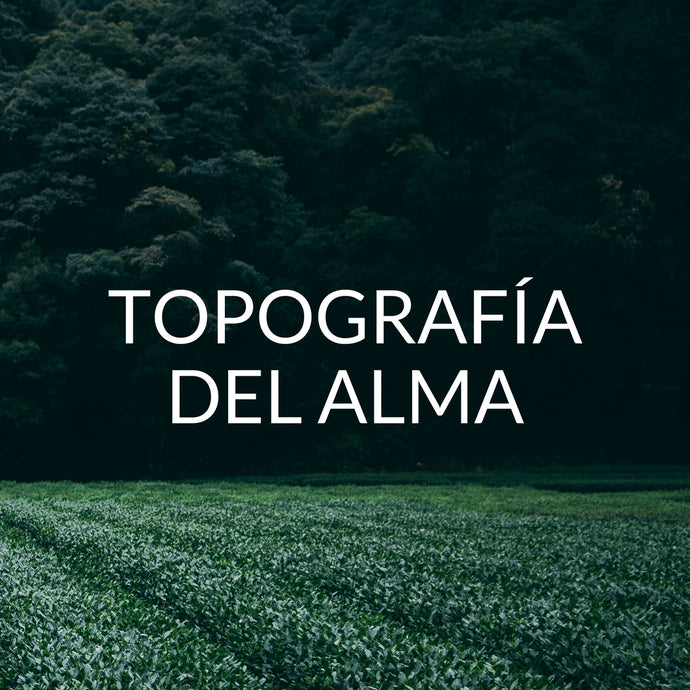 Topografía del alma