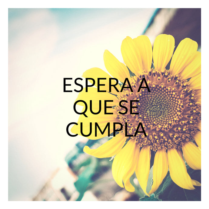 Espera a que se cumpla